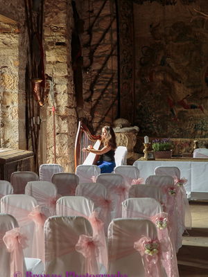 Event Jennifer Brown (Harpist) Harpist Inverness
