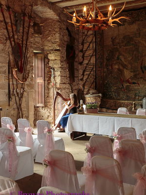 Event Jennifer Brown (Harpist) Harpist Inverness