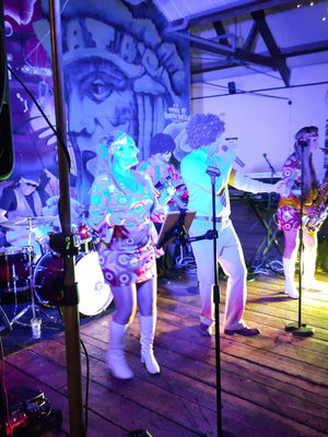 Event Disco Nights 70's Funk or Disco Band Hertfordshire
