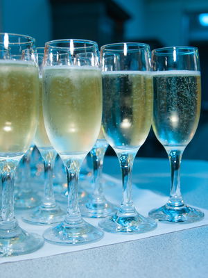 Event Comedy News Crew Comedy News Reporters East Sussex