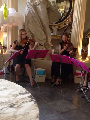 Event The Rose String Quartet String Quartet Hertfordshire