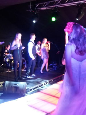 Event Disco Nights 70's Funk or Disco Band Hertfordshire