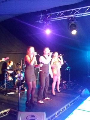Event Disco Nights 70's Funk or Disco Band Hertfordshire