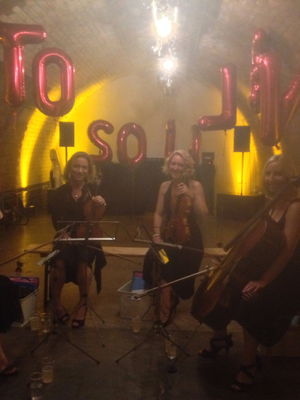 Event The Rose String Quartet String Quartet Hertfordshire