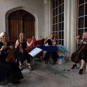David K booked The Rose String Quartet for  their wedding in Hertfordshire The Rose String Quartet String Quartet Review Wedding Hertfordshire