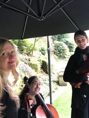 Event Prosecco Quartet String Quartet Malvern, Worcestershire