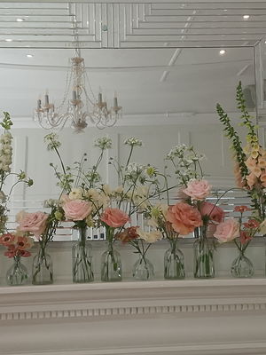 Event Egeria Strings String Quartet Surrey