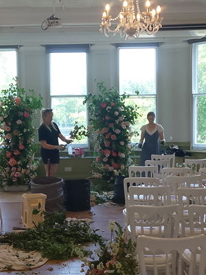 Event Egeria Strings String Quartet Surrey