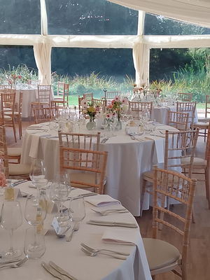 Event Egeria Strings String Quartet Surrey