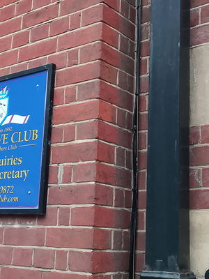 Event Egeria Strings String Quartet Surrey