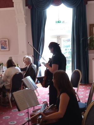 Event Egeria Strings String Quartet Surrey