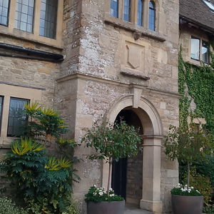 Event Egeria Strings String Trio Surrey