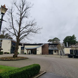 Lee Mathews Pianist Hotel / Restaurant Event Surrey