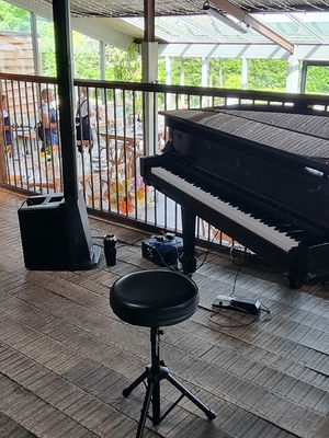 Event Lee Mathews Pianist London