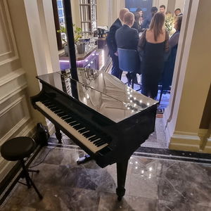Lee Mathews Pianist Wedding London