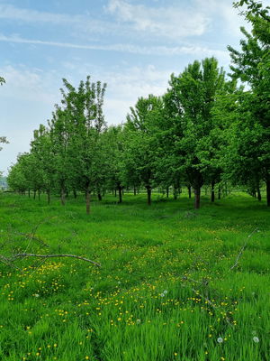 Event The One Man Wedding Band Singer Guitarist Falkirk