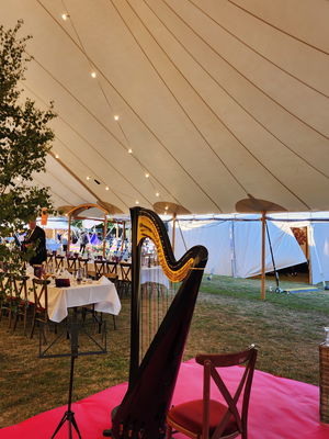 Event The Wedding Harpist Harpist London