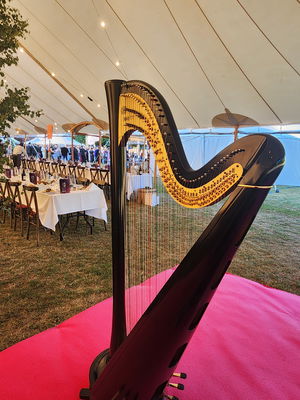 Event The Wedding Harpist Harpist London