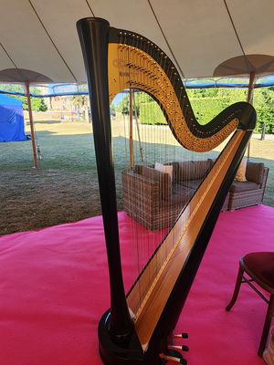 Event The Wedding Harpist Harpist London