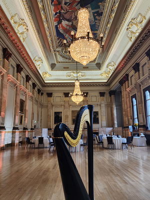 Event The Wedding Harpist Harpist London