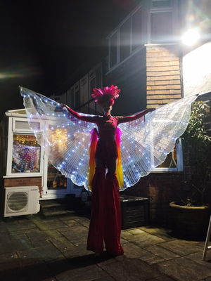 Event Fire Knights Fire Performer East Sussex