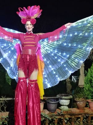 Event Fire Knights Fire Performer East Sussex