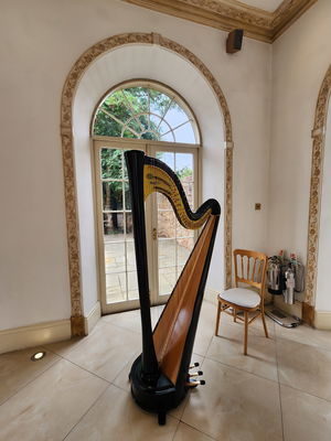 Event The Wedding Harpist Harpist London