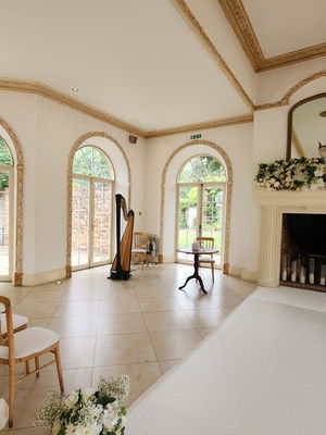 Event The Wedding Harpist Harpist London