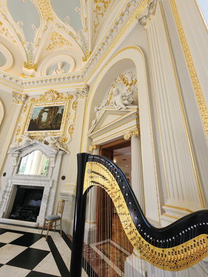 Event The Wedding Harpist Harpist London