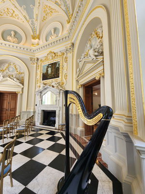 Event The Wedding Harpist Harpist London