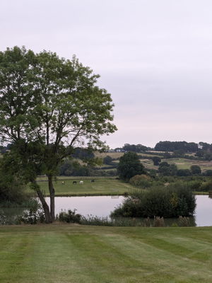 Event Jessie May Singer Guitarist Northamptonshire