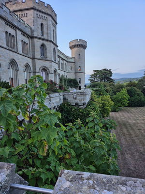 Event CJ Discos Wedding DJ Birmingham, West Midlands