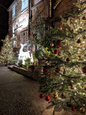 Event Jessie May Singer Guitarist Northamptonshire