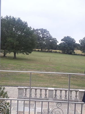 Event Egeria Strings String Quartet Surrey