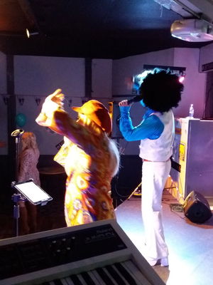 Event Disco Nights 70's Funk or Disco Band Hertfordshire