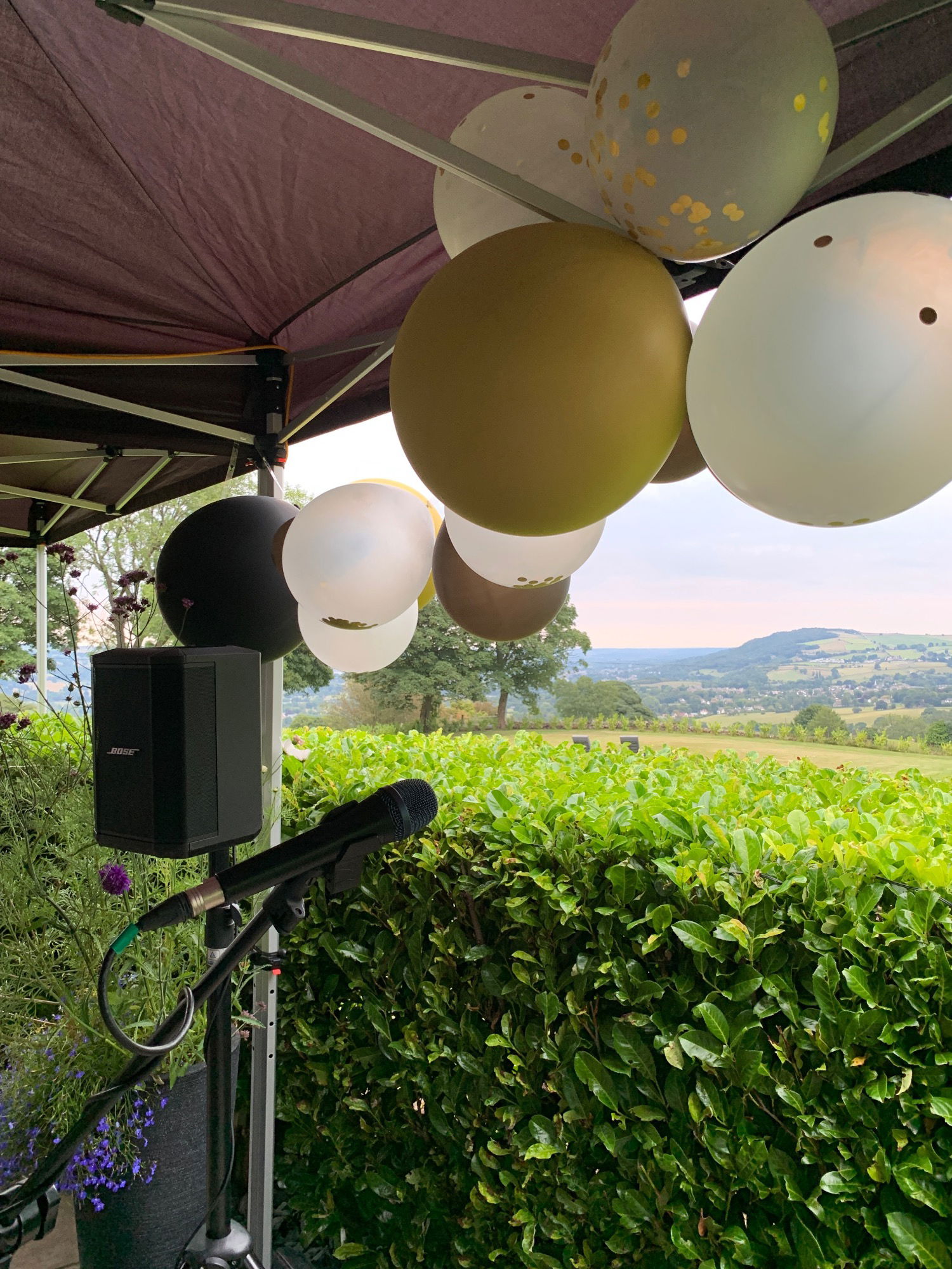 Danny James Singer Guitarist Review Private Party West Yorkshire