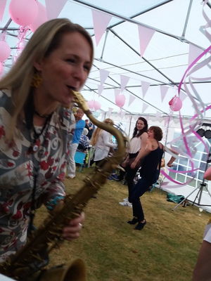 Event Disco Nights 70's Funk or Disco Band Hertfordshire