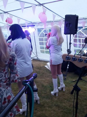 Event Disco Nights 70's Funk or Disco Band Hertfordshire