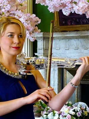 Event The Northern Violinist (Electric and Classical) Electric Violinist North Lincolnshire