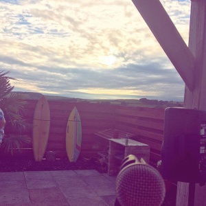 Emily Solo Artist, Duo or Trio Review Private Party Devon