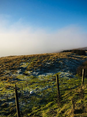 Event Solar Strings String Quartet Cramlington, Newcastle Upon Tyne