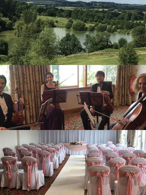 Event Garden String Quartet String Quartet London