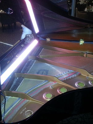 Event All That Jazz Jazz Band Sheffield, South Yorkshire