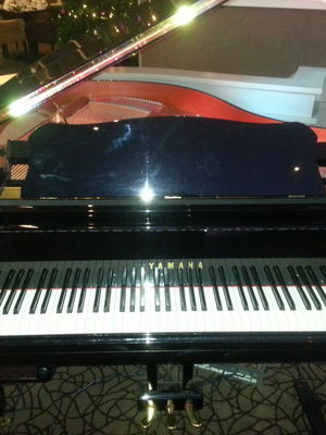 Event All That Jazz Jazz Band Sheffield, South Yorkshire