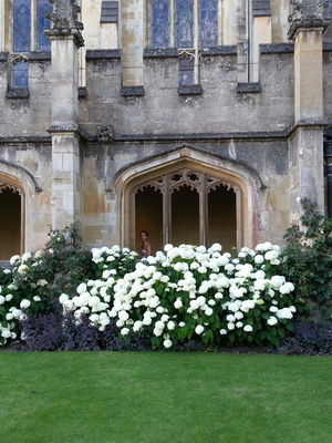 Event All That Jazz Jazz Band Sheffield, South Yorkshire