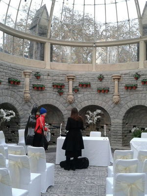 Event Egeria Strings String Quartet Surrey