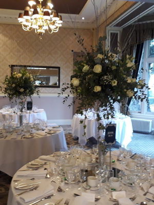 Event Egeria Strings String Quartet Surrey