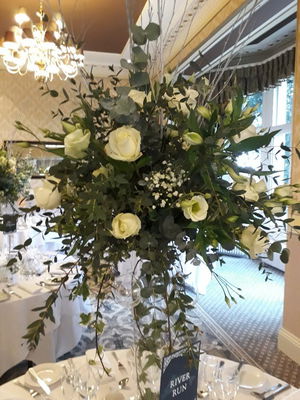 Event Egeria Strings String Quartet Surrey