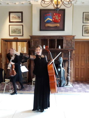 Event Egeria Strings String Quartet Surrey
