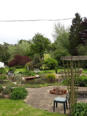 Event Egeria Strings String Quartet Surrey